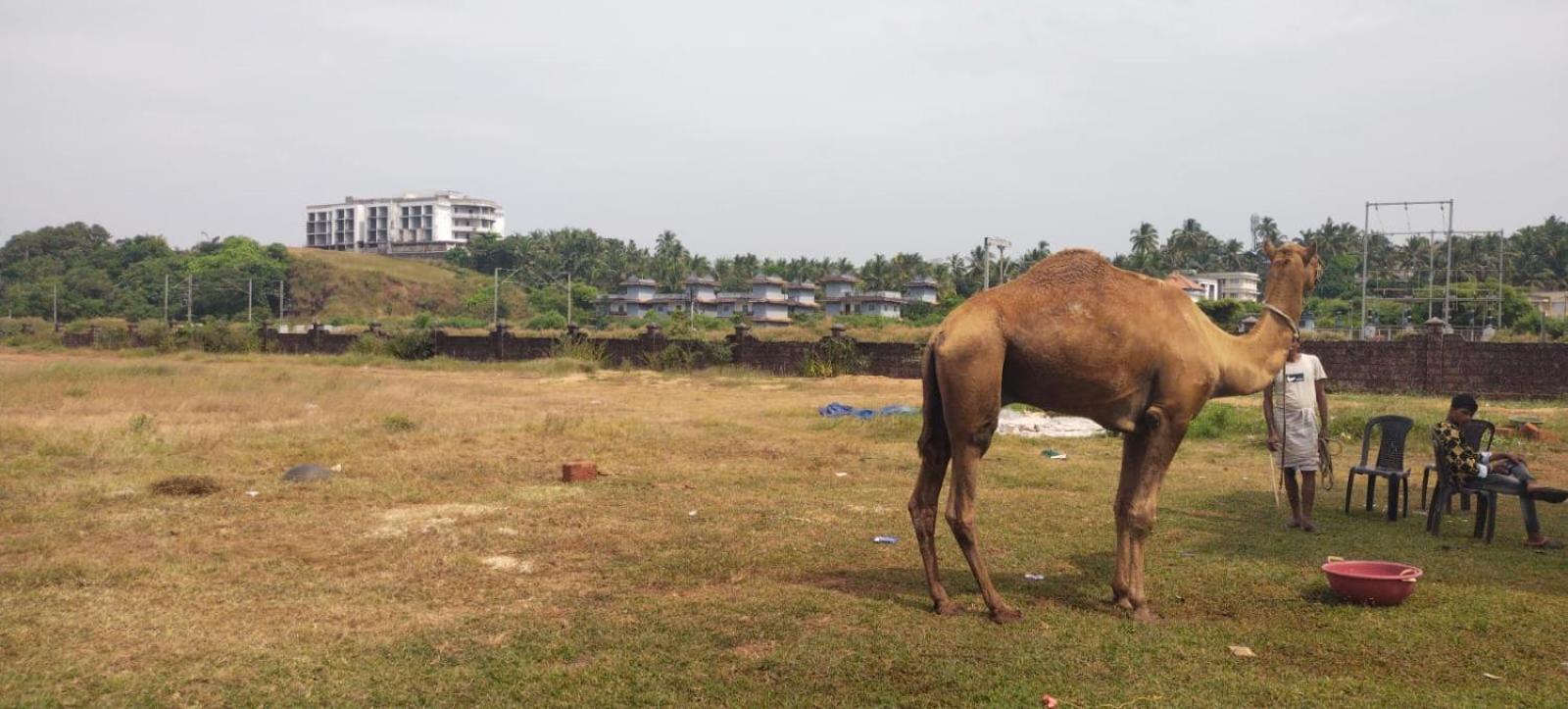 Bekal Fort Beach Resorts Bekal Town Kültér fotó