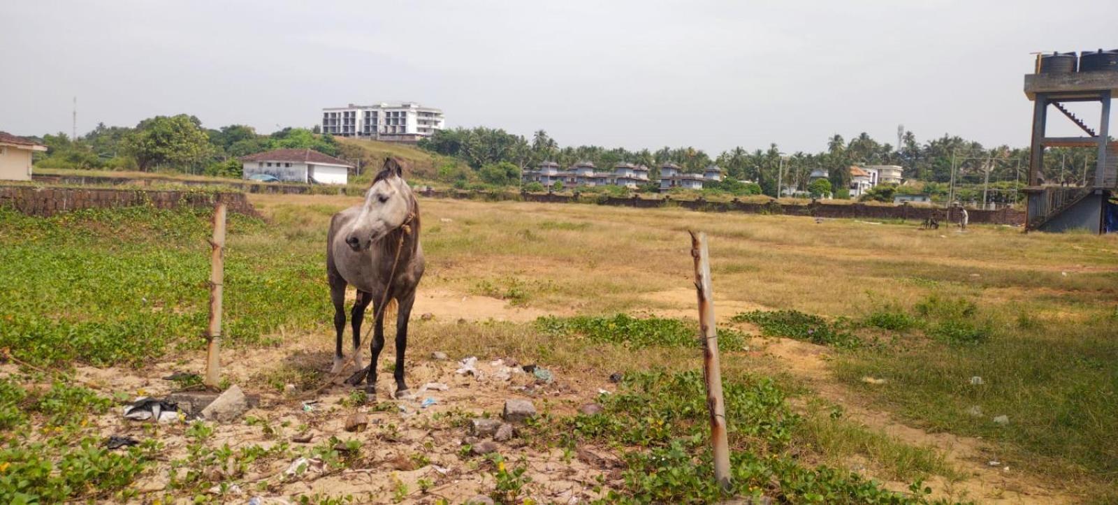 Bekal Fort Beach Resorts Bekal Town Kültér fotó